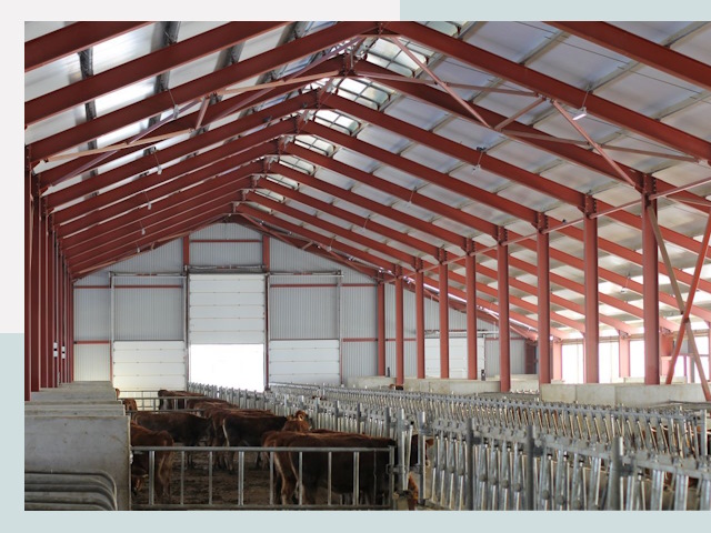 Строительство коровников в Карталах