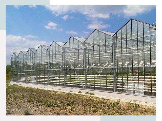 Строительство теплиц в Карталы от 626 руб. за м²