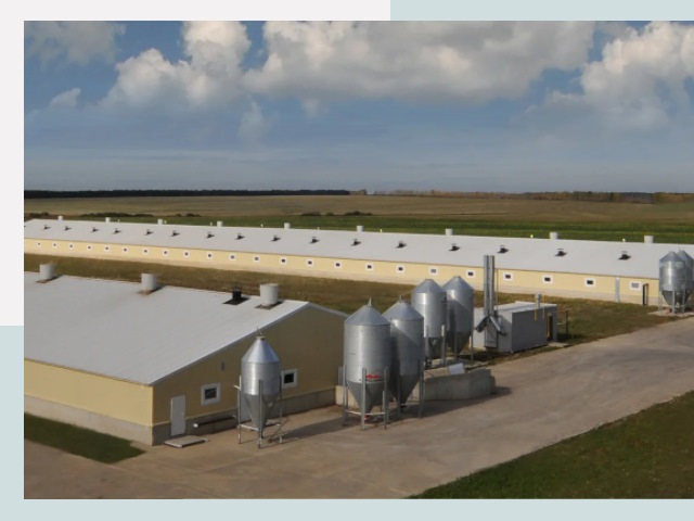 Проектирование свинарников в Карталах от 62586 р. | СтальСтрой-Крт